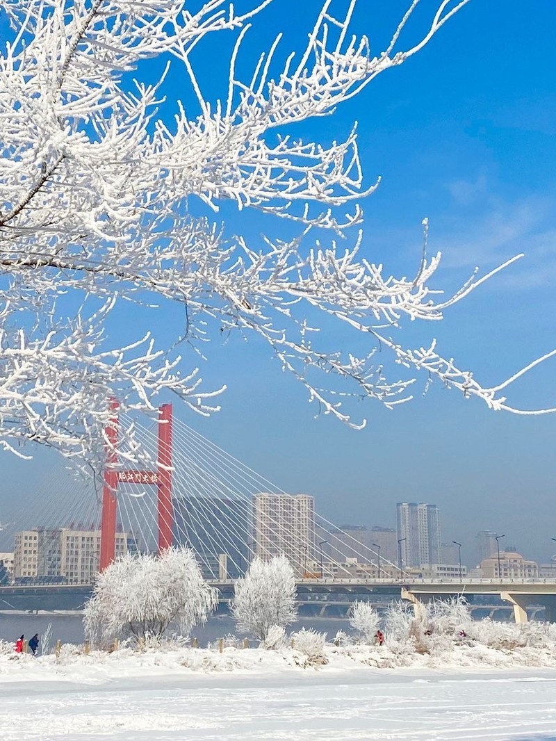吉林,吉林——这片充满活力与希望的土地