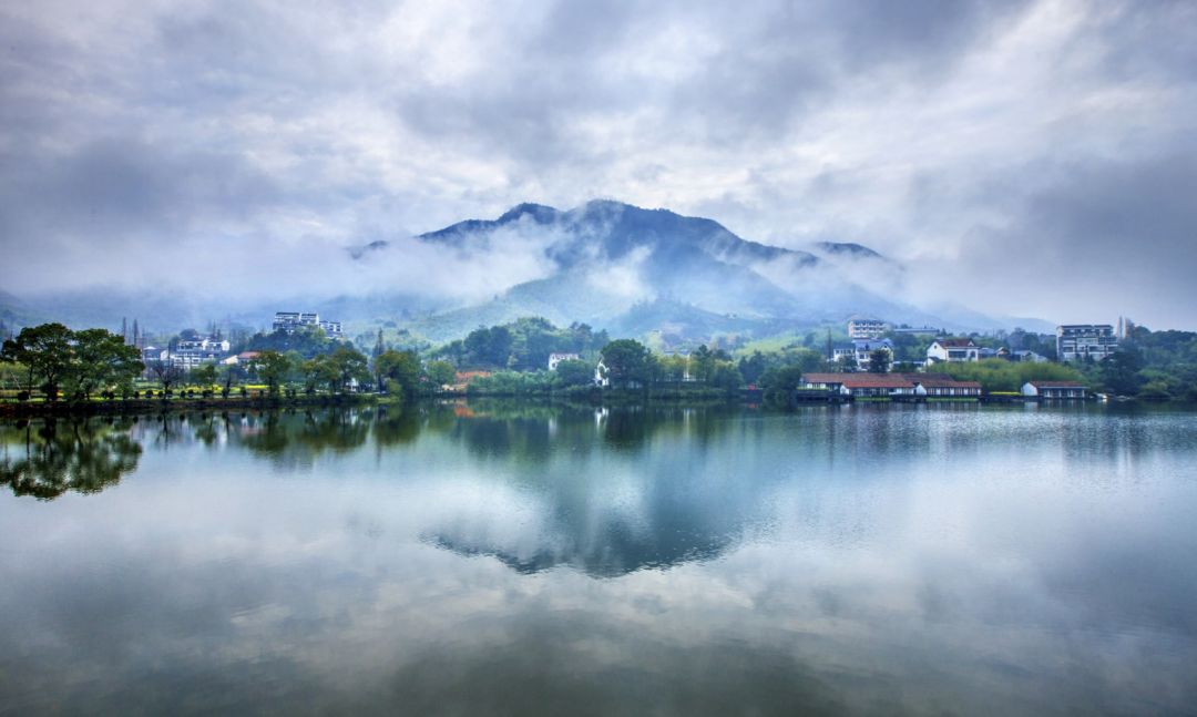 浙江之光，高科技革新重塑生活体验