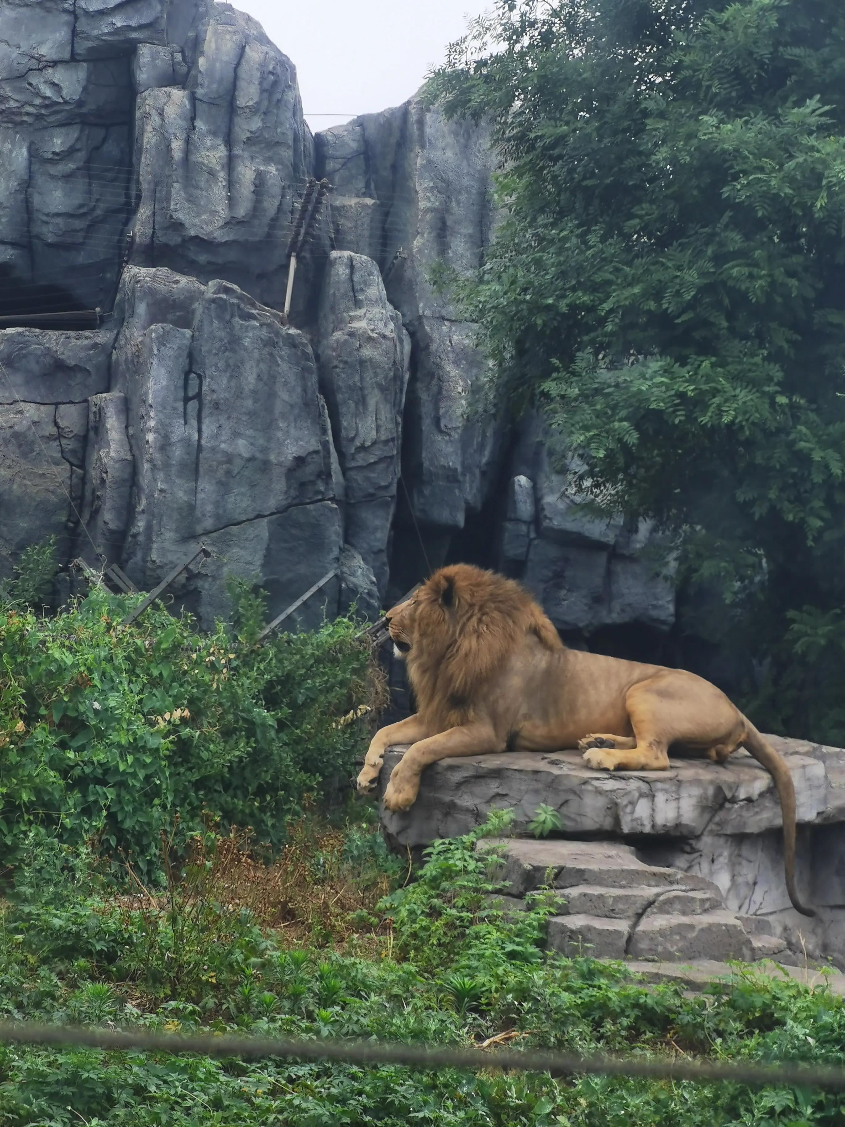 唐山,唐山——历史、文化与现代社会