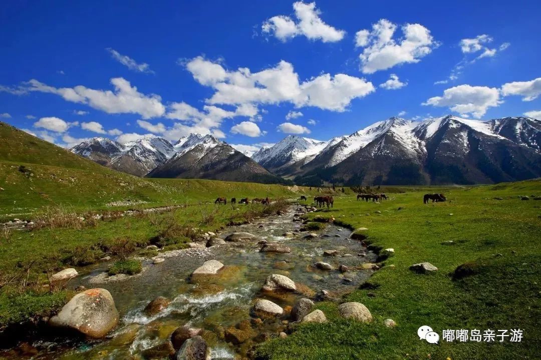 新疆印象,大学生视角下的多元文化融合之地