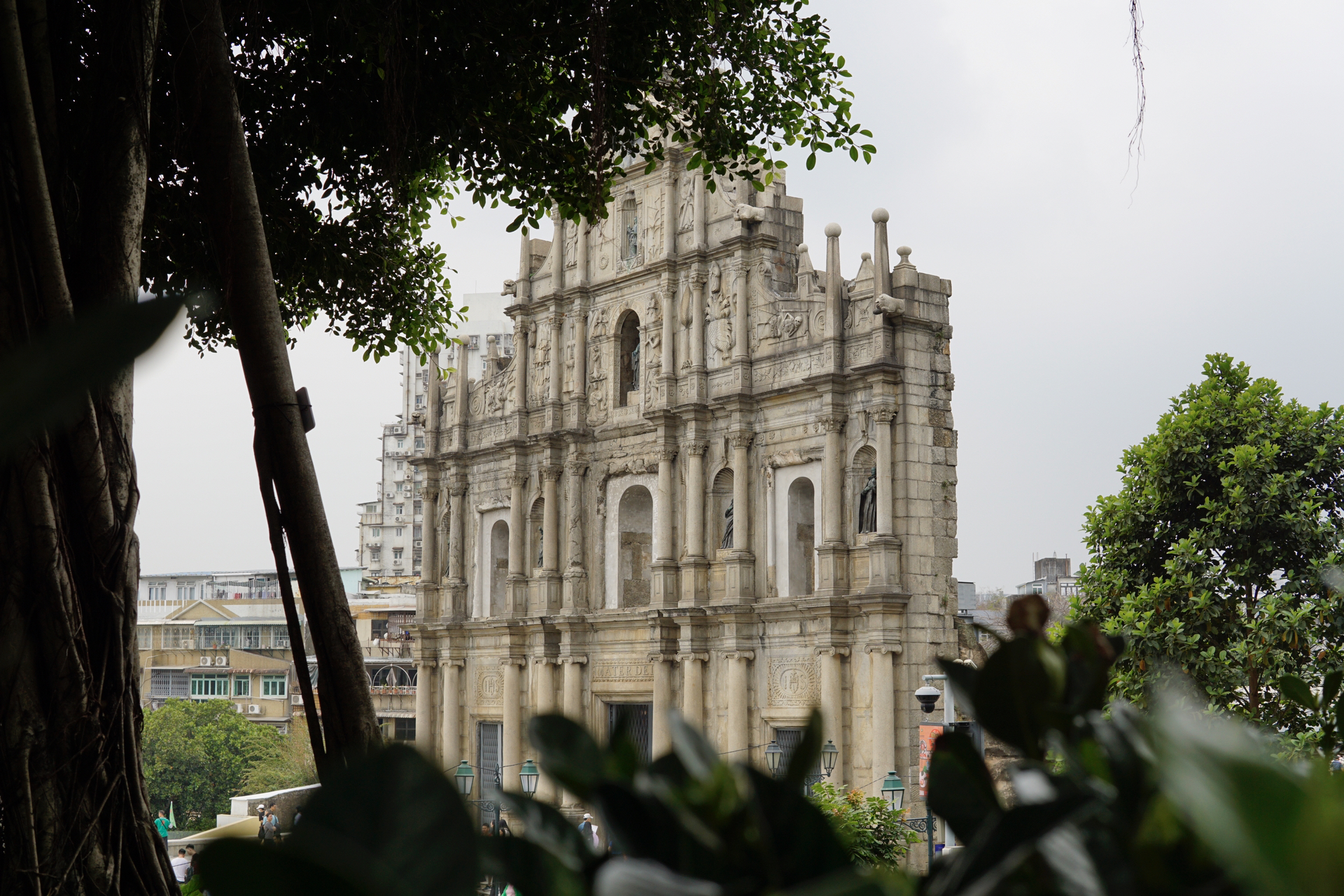 澳门，繁华背后的宁静港湾🌊🍵