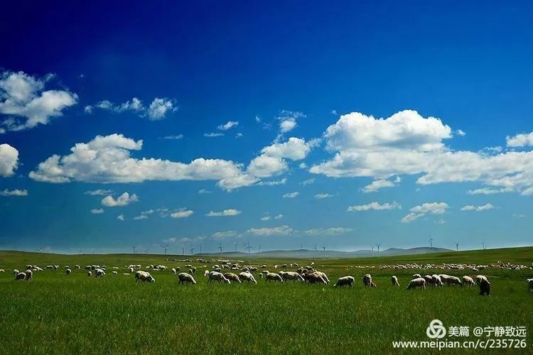 呼伦贝尔草原的深情眷恋